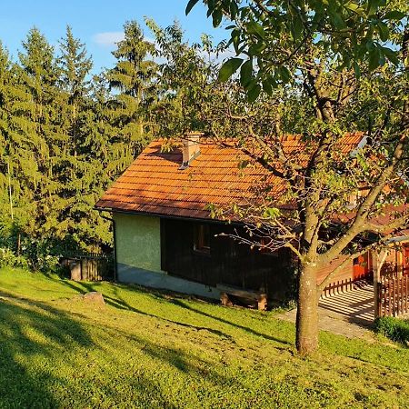 Hiska Ob Gozdu Vila Polzela Exterior foto