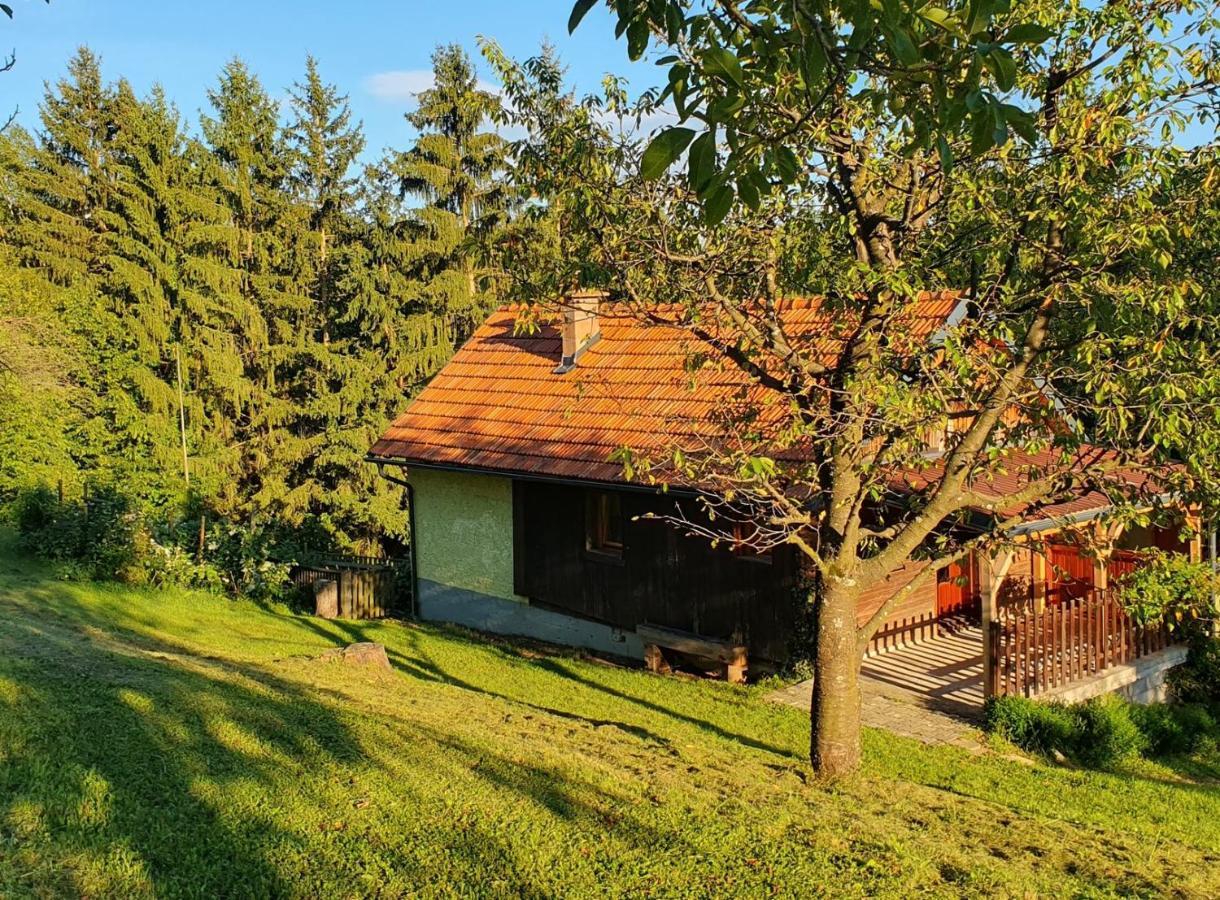 Hiska Ob Gozdu Vila Polzela Exterior foto