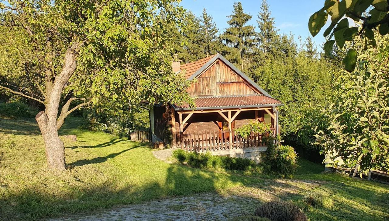 Hiska Ob Gozdu Vila Polzela Exterior foto